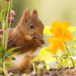 Meet your Posher, Leslie